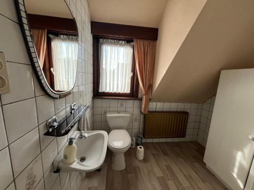 y baño con aseo, lavabo y espejo. en Vakantiehuis Santorini, en Westerlo