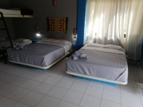 two beds sitting in a room with a window at Punta Pacífico Bungalows Máncora in Máncora