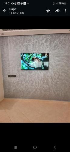 a television screen with a picture of a dog on it at Appartement Marjana in Meknès
