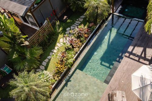 an overhead view of a swimming pool with plants at VGZ - Cabanas charmosas entre Barra de Ibiraquera e Rosa in Imbituba