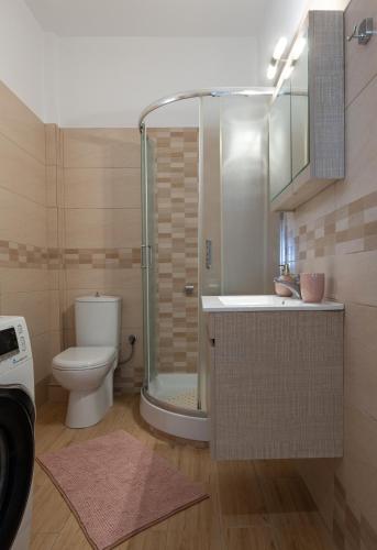 a bathroom with a shower and a toilet and a sink at Lakis House Nikiti in Nikiti