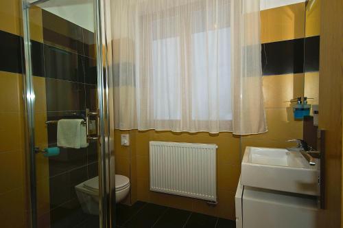 a bathroom with a toilet and a sink at Hotel Malina*** in Ružomberok