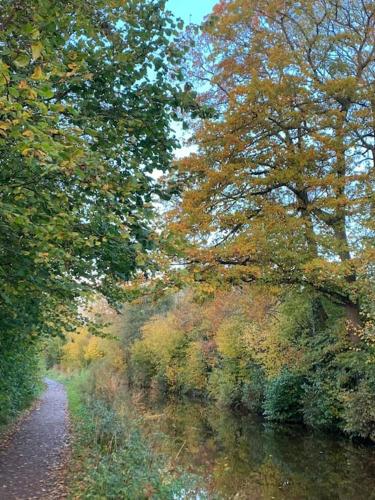 a painting of a path next to a river with trees at Mountain views in the heart of Brecon Town in Brecon
