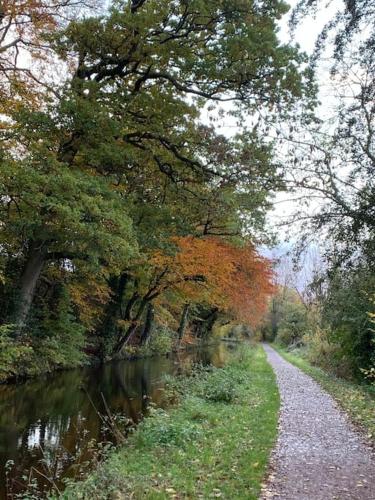 a path next to a river with trees at Mountain views in the heart of Brecon Town in Brecon