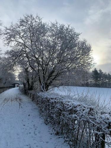a tree covered in snow next to a fence at Mountain views in the heart of Brecon Town in Brecon