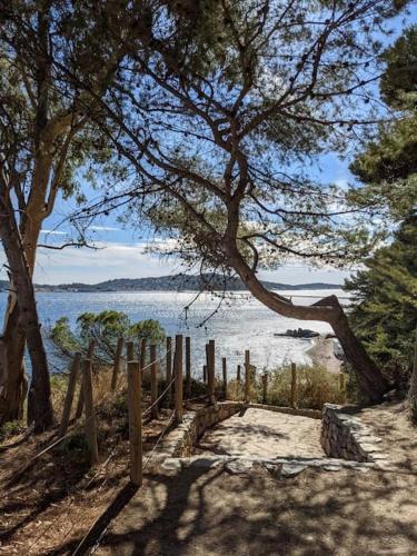 uma praia com uma cerca e uma árvore e água em Villa provençale Stella Maris em Toulon