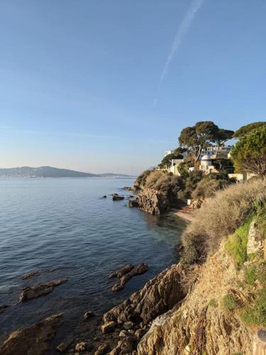 Photo de la galerie de l'établissement Villa provençale Stella Maris, à Toulon