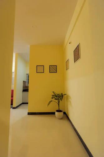 una planta en una habitación con una pared amarilla en HSR Hillcrest by Newstays, en Bangalore
