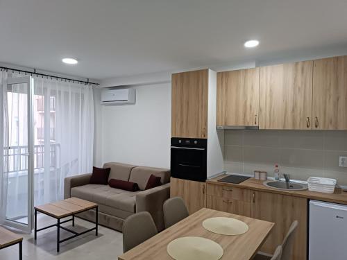 Kuchyň nebo kuchyňský kout v ubytování Apartman Spasić 2