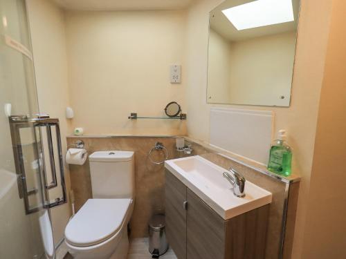 a bathroom with a toilet and a sink and a mirror at Springwell Cottage in Ambleside