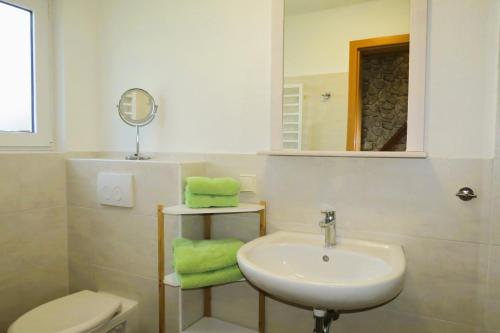 ein Badezimmer mit einem Waschbecken, einem WC und einem Spiegel in der Unterkunft Ferienhaus Prerow in Prerow