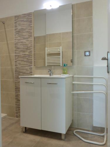 uma casa de banho com um lavatório branco e um chuveiro em Gite des Limagnes em Thiviers