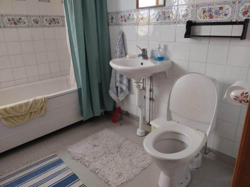 ein Bad mit einem WC und einem Waschbecken in der Unterkunft Swedish Paradise Garden & Lake Retreat 