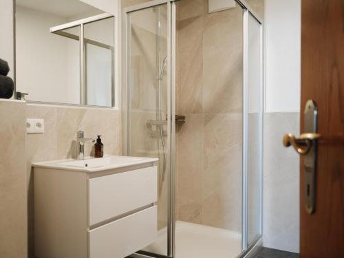 羅伊特的住宿－Ehrenberg Apartments，一间带水槽和淋浴的浴室