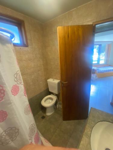 a bathroom with a toilet and a wooden door at Casitas patagonicas in Villa La Angostura