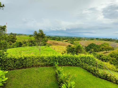 a view of a field with trees and grass at Hotel Arbóreo Doradal in Doradal
