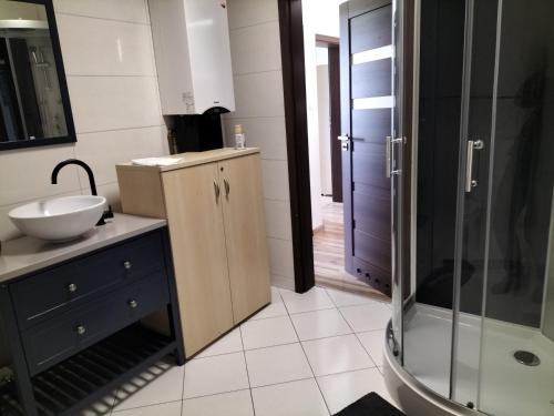 a bathroom with a sink and a shower at Pensjonat u Joli in Sandomierz