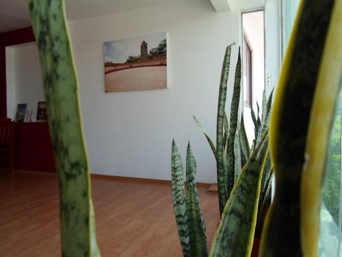 a plant in a room with a picture on the wall at Hotel María Bonita in Tlaxcala de Xicohténcatl
