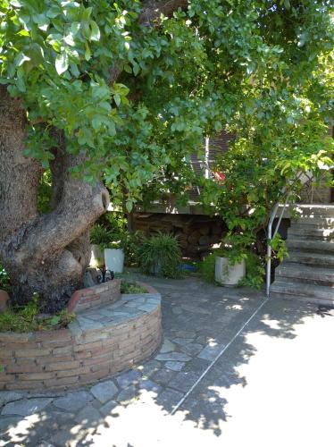 a tree sitting next to a brick walkway under a tree at The Lemon House by The Sea in Áyioi Apóstoloi