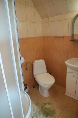 a bathroom with a toilet and a sink at Belweder Bieszczady in Wołkowyja