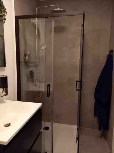 a shower with a glass door in a bathroom at Starling in Oud-Turnhout