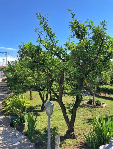 Κήπος έξω από το La mia casa