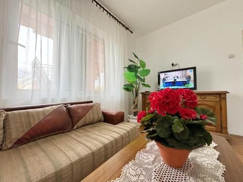 Μια τηλεόραση ή/και κέντρο ψυχαγωγίας στο La mia casa