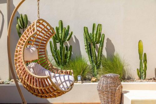 a wicker swing hanging from a wall with cactus at Villa Loukiana in Kavos