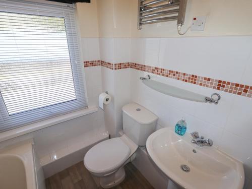 a bathroom with a white toilet and a sink at Hillview in Colwyn Bay