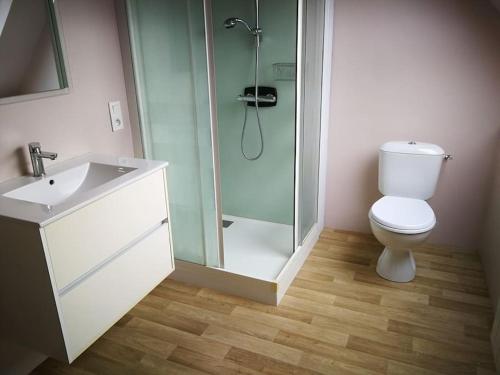 une salle de bain avec une douche, des toilettes et un lavabo dans l'établissement maison les vieilles cours, à Blosville