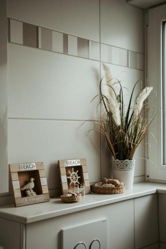 a shelf with two pictures and a plant on it at Ferienwohnung „Göttschied“ in Idar-Oberstein