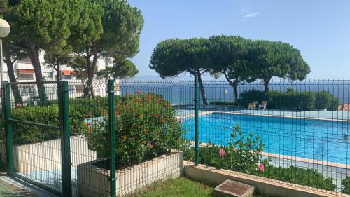 a fence next to a swimming pool with trees at AriaSpot Alicante in Gran Alacant