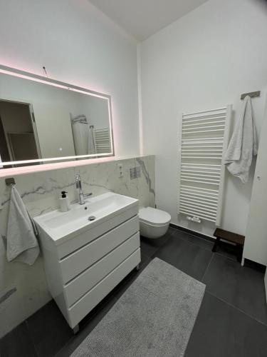 ein Badezimmer mit einem Waschbecken, einem WC und einem Spiegel in der Unterkunft New and modern flat between Potsdamer Platz and Tiergarten in Berlin
