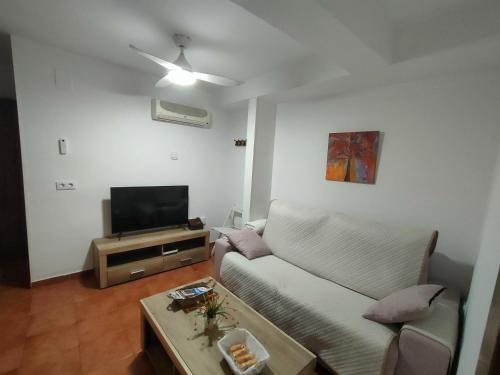 ein Wohnzimmer mit einem Sofa und einem TV in der Unterkunft Apartamento Santa Inés in Granada
