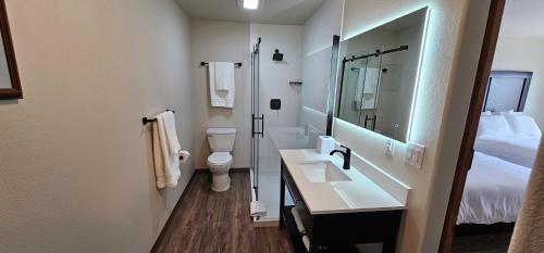 een badkamer met een wastafel, een toilet en een spiegel bij Eagle River Lodge in Eagle River