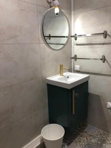 une salle de bain avec un lavabo et un miroir et des toilettes dans l'établissement Studio face à l'étang pour 5 Voyageurs Port-Leucate, à Leucate