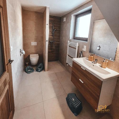 a bathroom with a sink and a toilet at Ďumbierky Chata 6ka in Mýto pod Ďumbierom