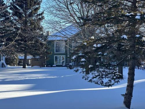 a blue house with a snow covered yard with trees at Tranquil ski golf spa in Collingwood