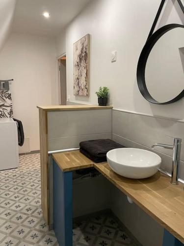 une salle de bain avec un lavabo et un miroir sur un comptoir dans l'établissement Bel appartement 2 chambres, à Ham
