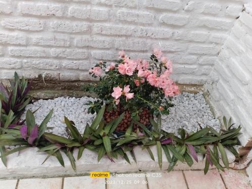 a planter with pink flowers and plants in front of a brick wall at Pousada sol nascente in Beberibe