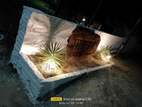 a concrete planter with a plant in it at night at Pousada sol nascente in Beberibe