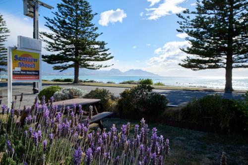 a park bench and flowers with a view of the ocean at Sea View Motel - Unit 4 in Kaikoura