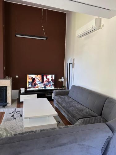 Televiisor ja/või meelelahutuskeskus majutusasutuses Kuca na Dunavu