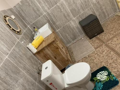 La salle de bains est pourvue de toilettes blanches et d'un lavabo. dans l'établissement RURUTU - Are Itimaana i Naairoa, à Rurutu