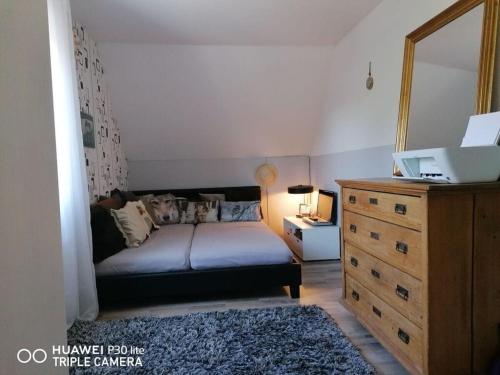 a bedroom with a bed with a dresser and a mirror at Holiday home Danube Valley 