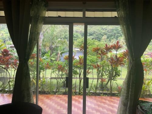Gallery image of ROOM LE BASSIN in Tiarei