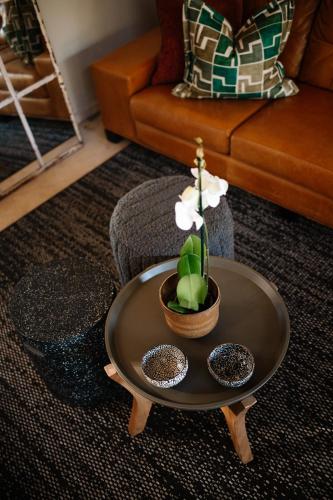 a coffee table with a potted plant on it in a living room at Rest Guesthouse in Dullstroom