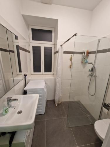 ein Bad mit einer Dusche und einem Waschbecken in der Unterkunft One-Bedroom Apartment with Garden in Wien