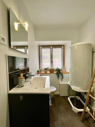 une cuisine avec un évier et un plan de travail dans l'établissement Le Refuge de Antoine, 4 étoiles entre pistes et centre-ville, à La Bresse