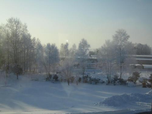 a snow covered field with trees and a building at Furano Hops Hotel - Vacation STAY 41818v in Kami-furano